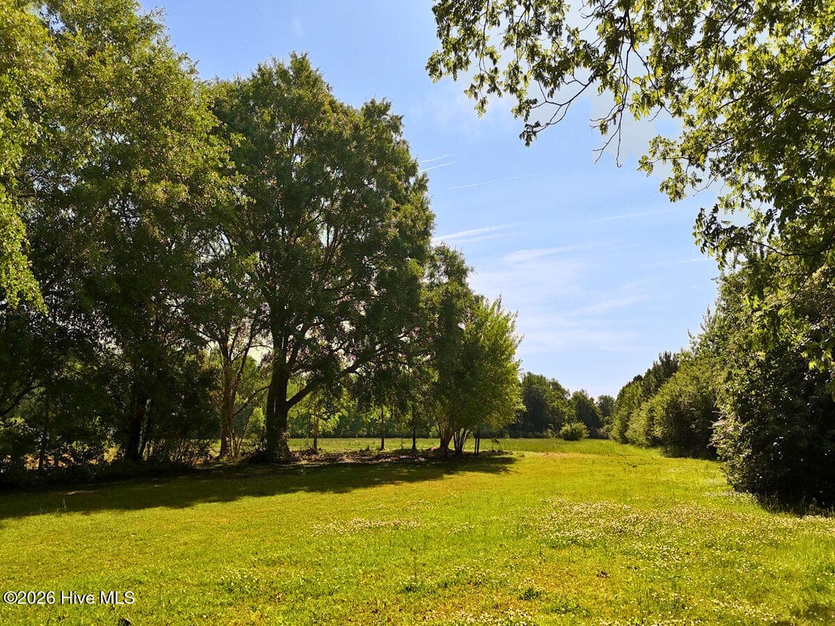 Front of 0 Old Chinquapin Road, Beulaville, NC 28518