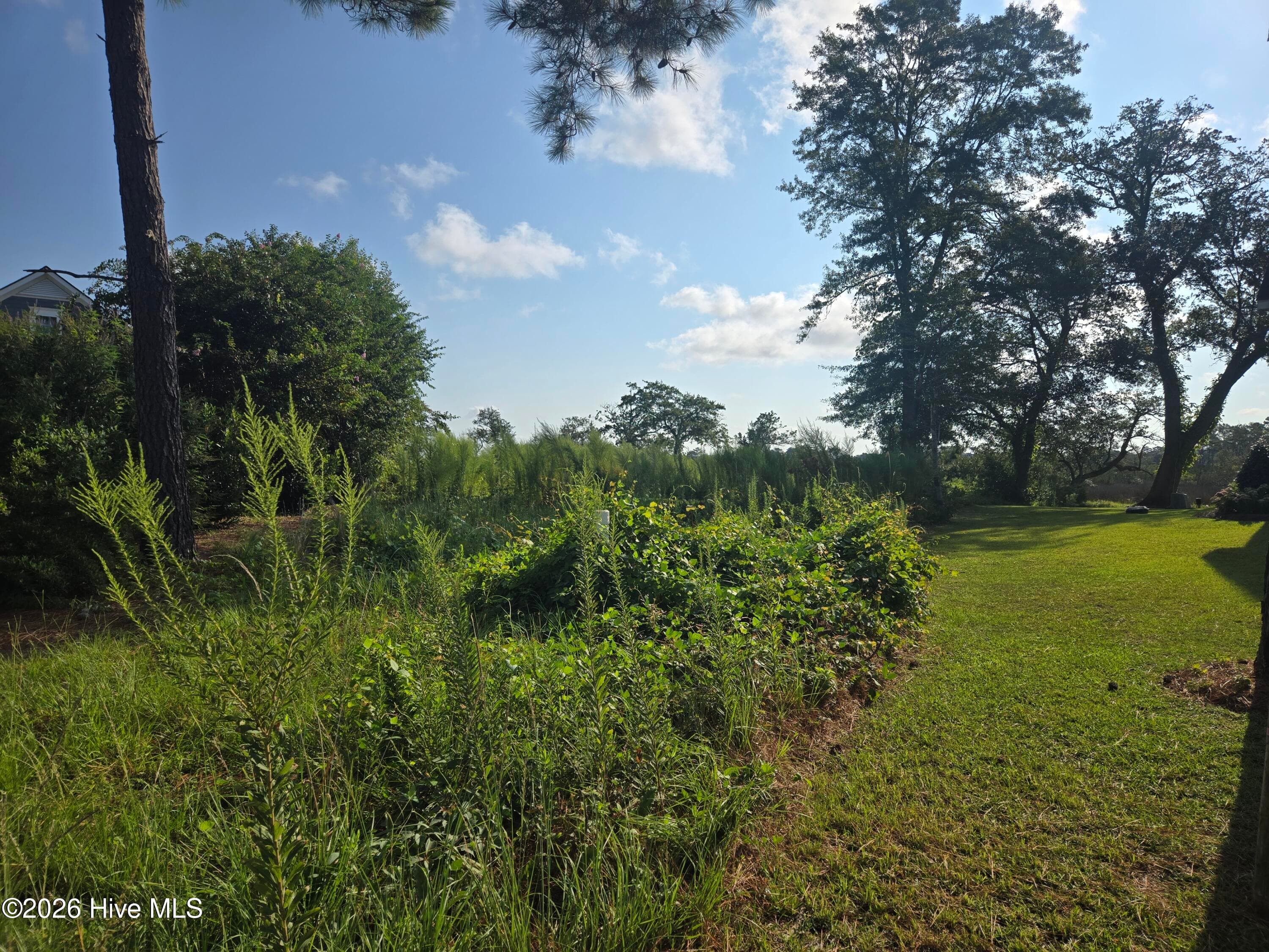 Exterior of 1218 77 Woods Court, Morehead City, NC 28557