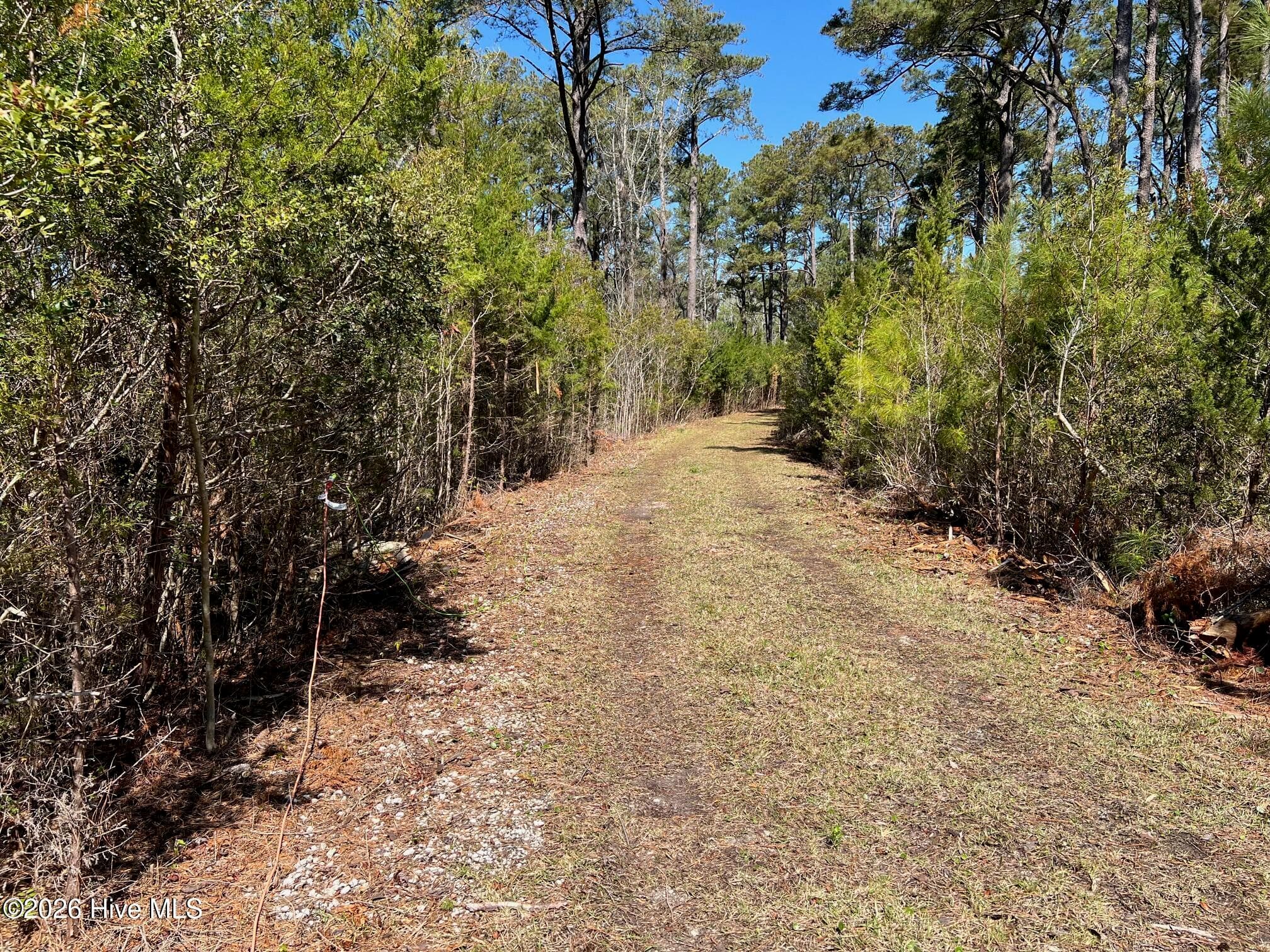 Front of 150 Styron Creek Road, Sea Level, NC 28577
