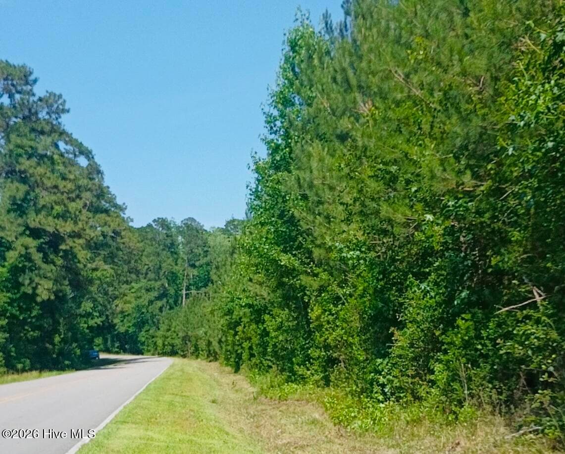 Front of 82 Acres Point Caswell Rd Road, Atkinson, NC 28421