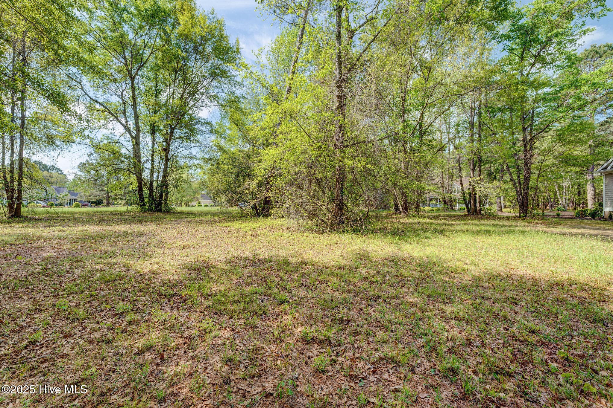 Front of 161 Maple Creek Drive, Wallace, NC 28466