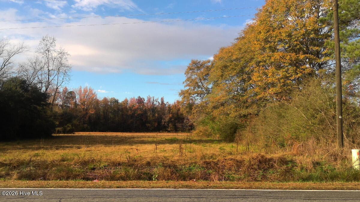 Front of 1.77 Ac Will Baker Road, Kinston, NC 28504