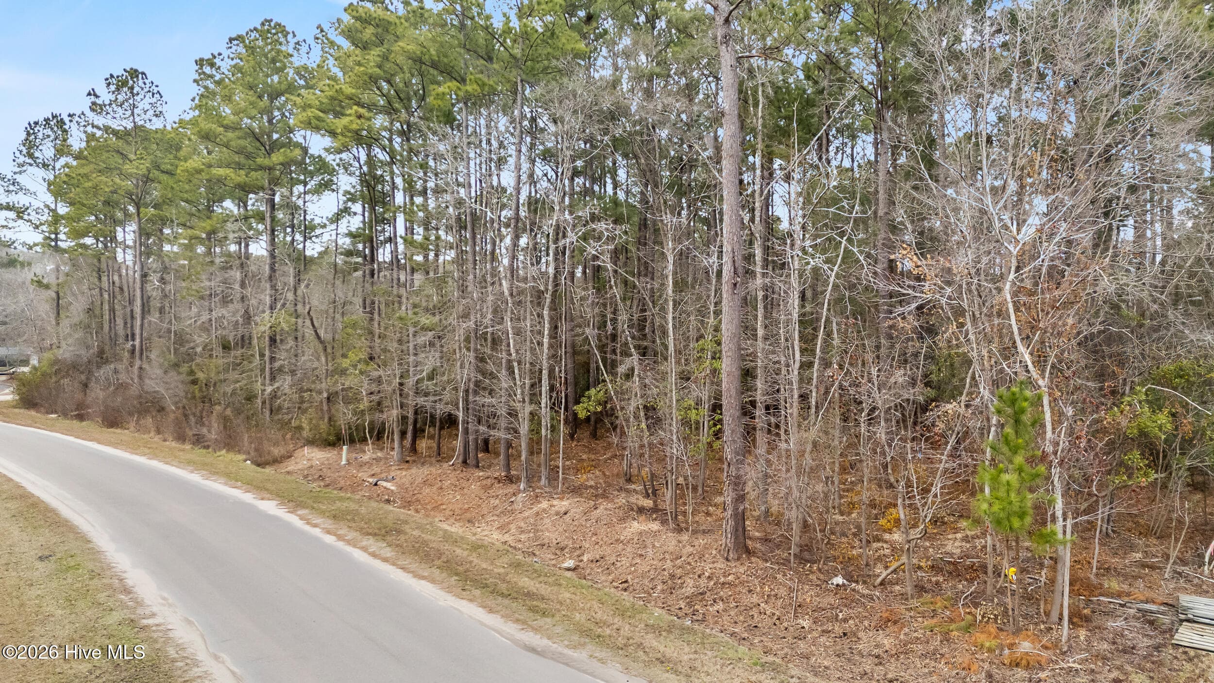 Front of Lot 4 4 Copperhead Lane, Burgaw, NC 28425