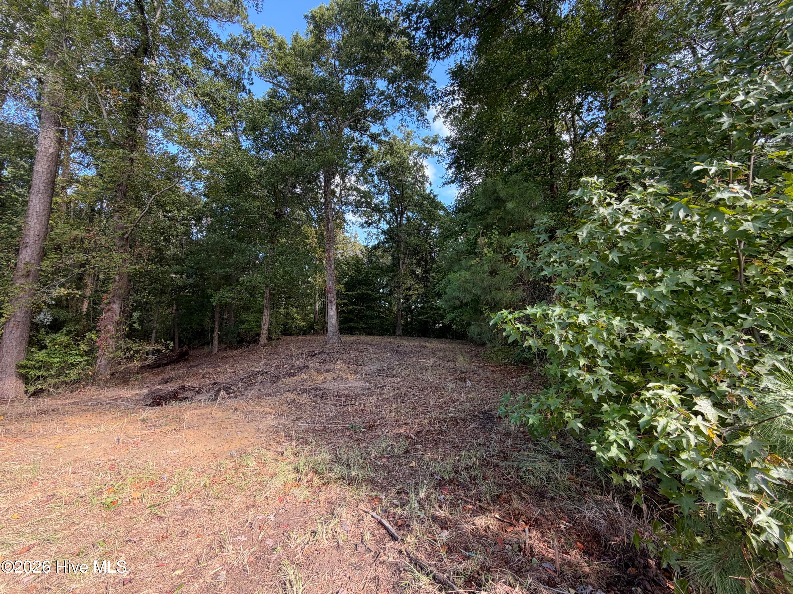 Front of 21 21 Hannah Drive, Chocowinity, NC 27817