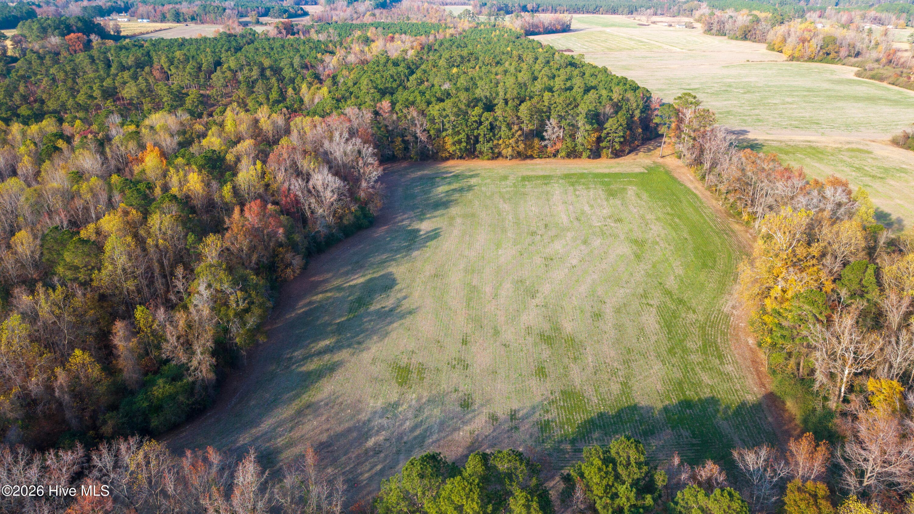 Front of 41.5 Acres High School Road, Teachey, NC 28464