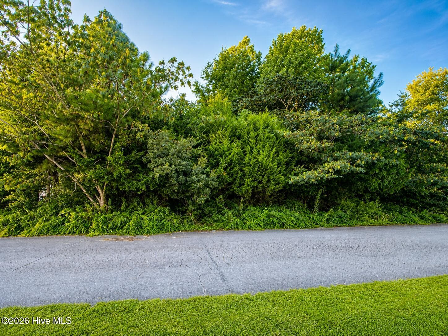 Front of 114 43 Cherrybark Drive, Jacksonville, NC 28540
