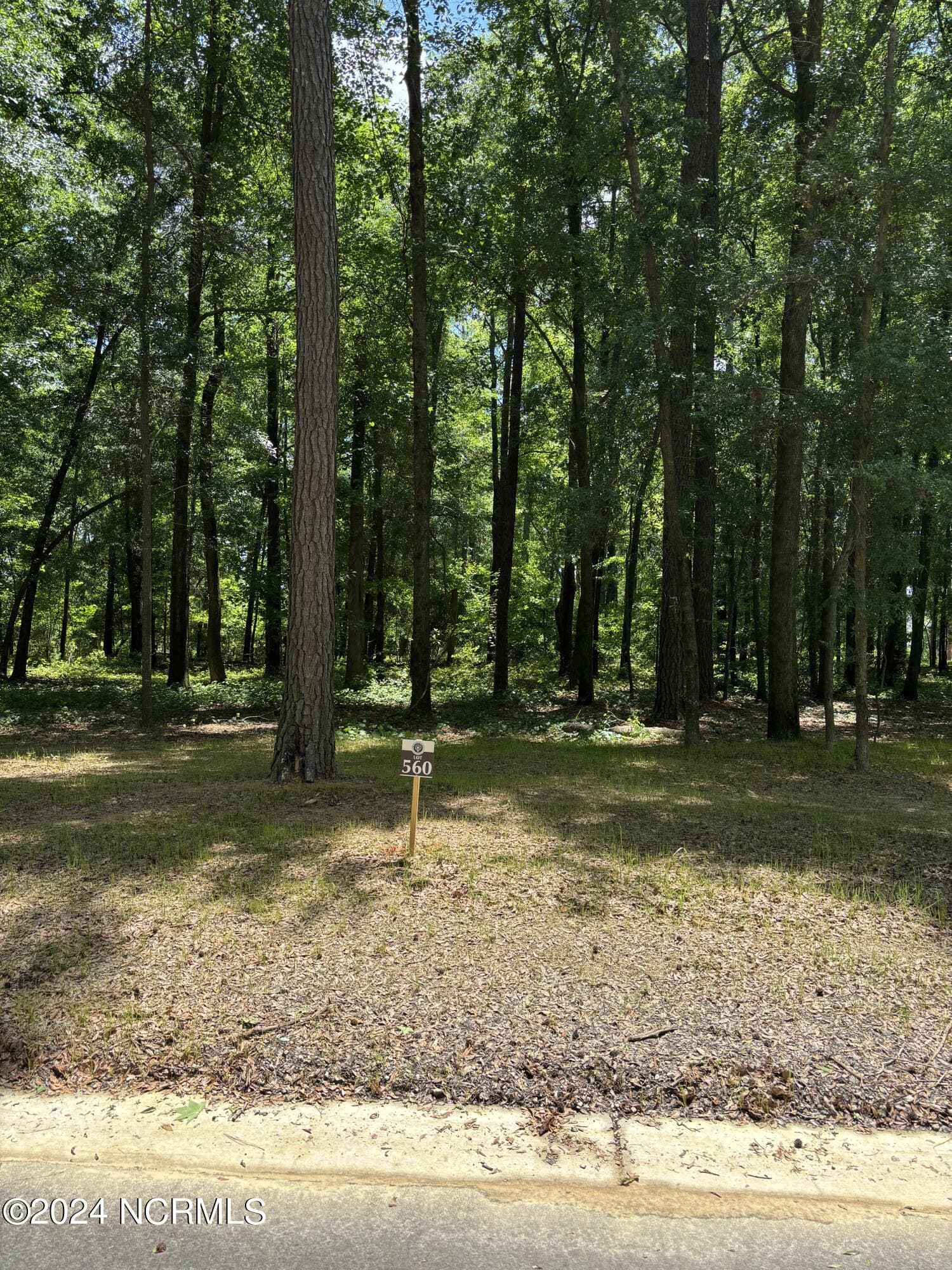 Front of 410 560 Old Forest Drive, Castle Hayne, NC 28429