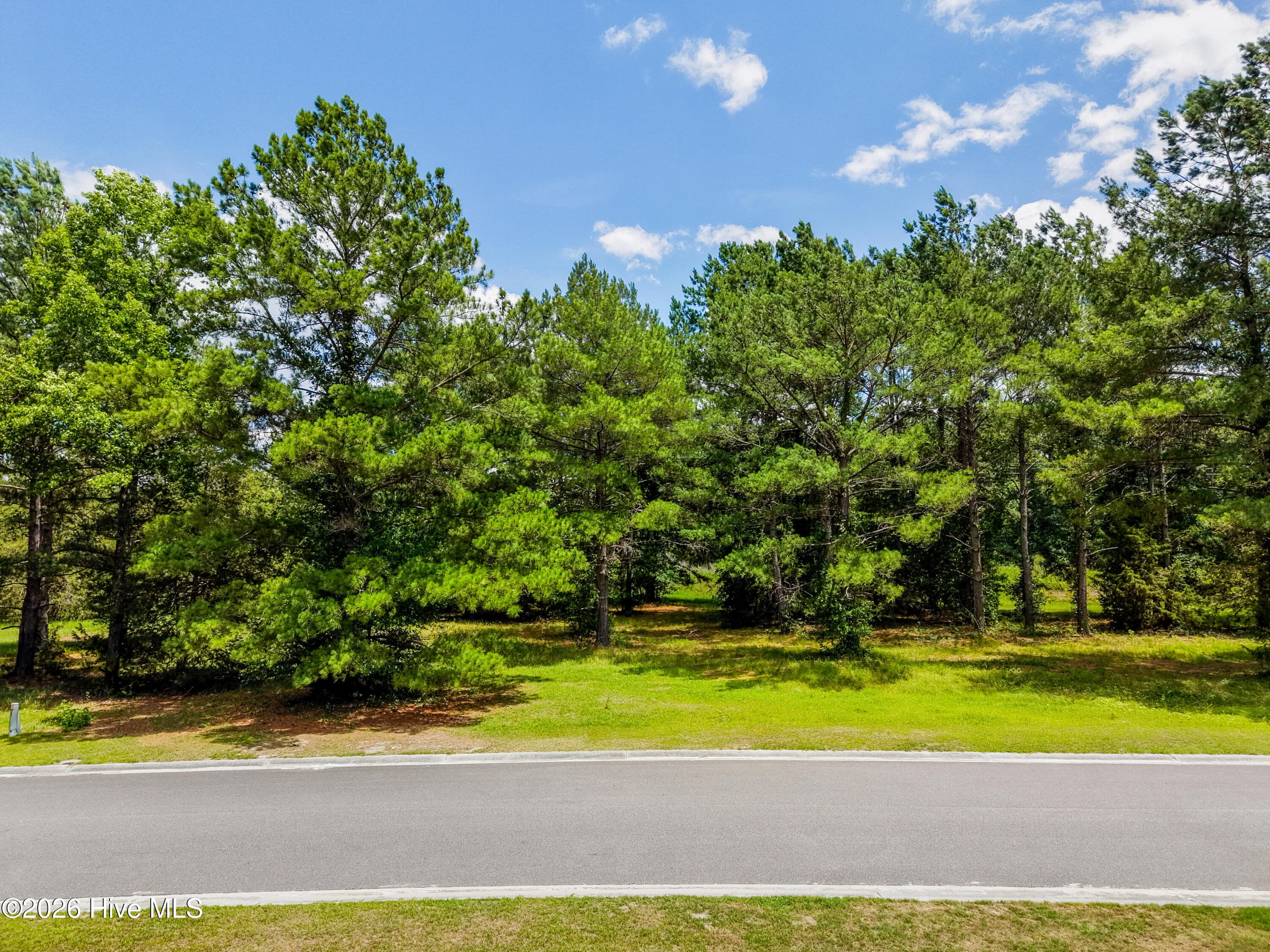 Front of 117 Cedar Point Drive, Wallace, NC 28466