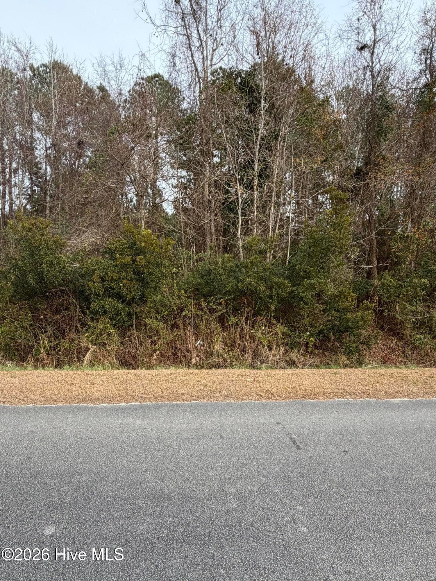 Front of 0 5 Joans Haven Drive, Newport, NC 28570