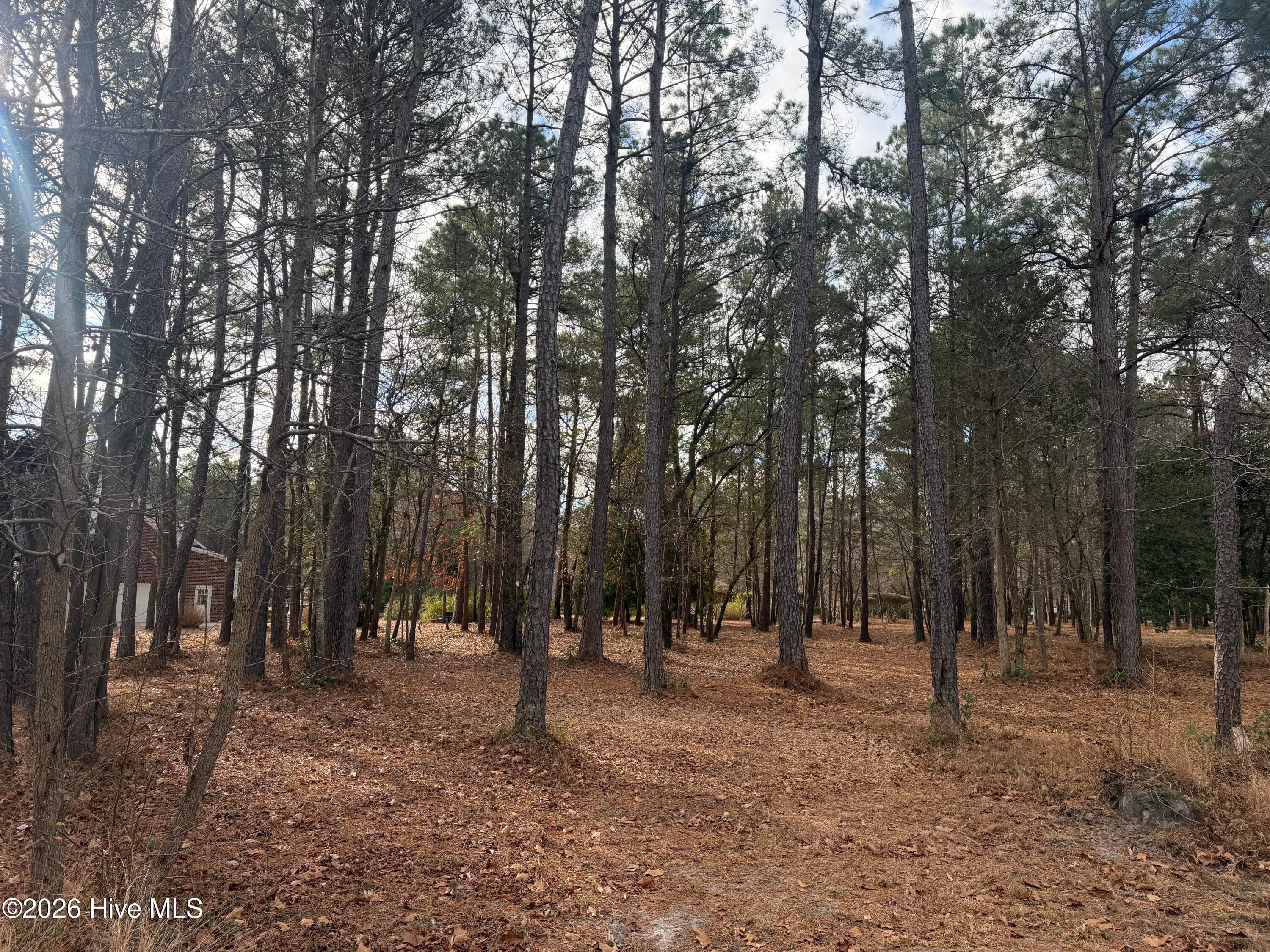 Front of 109 42 Pine Ridge Drive, Wallace, NC 28466