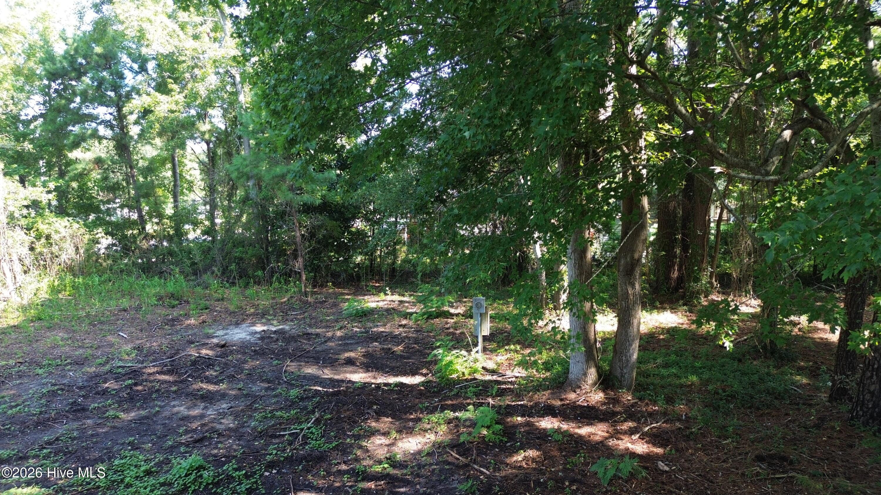 Front of 124 Hatcher Drive, Newport, NC 28570