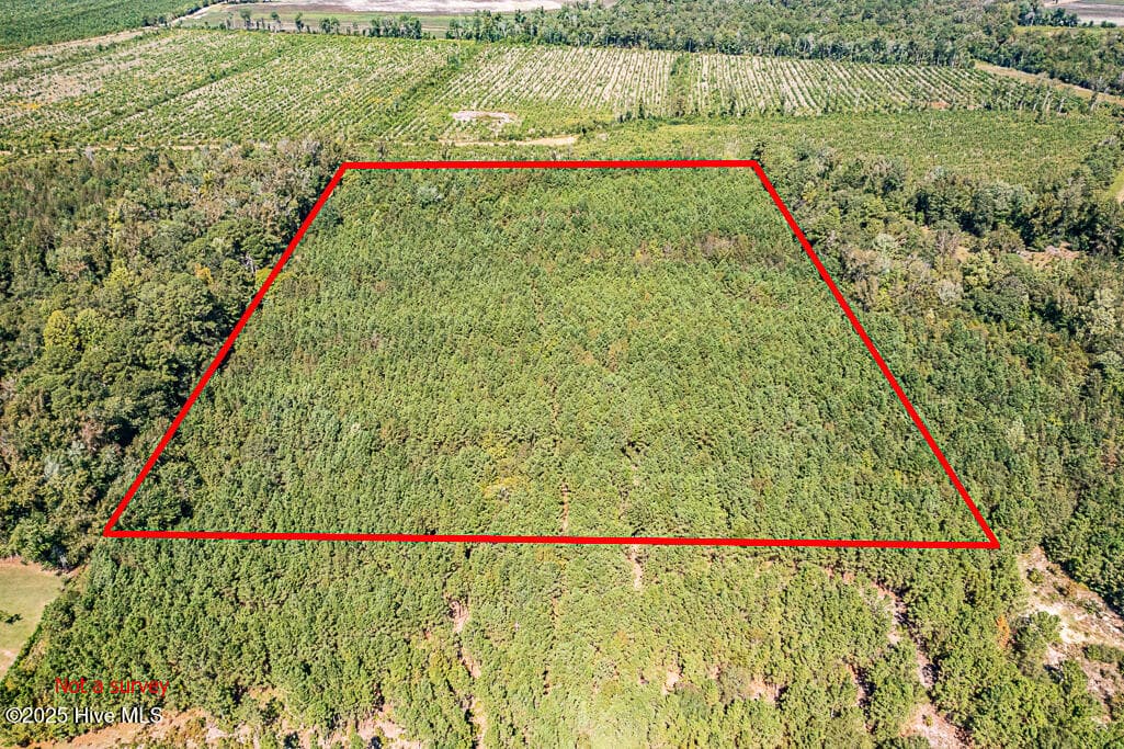 Front of 780 Campbell Road, Vanceboro, NC 28586