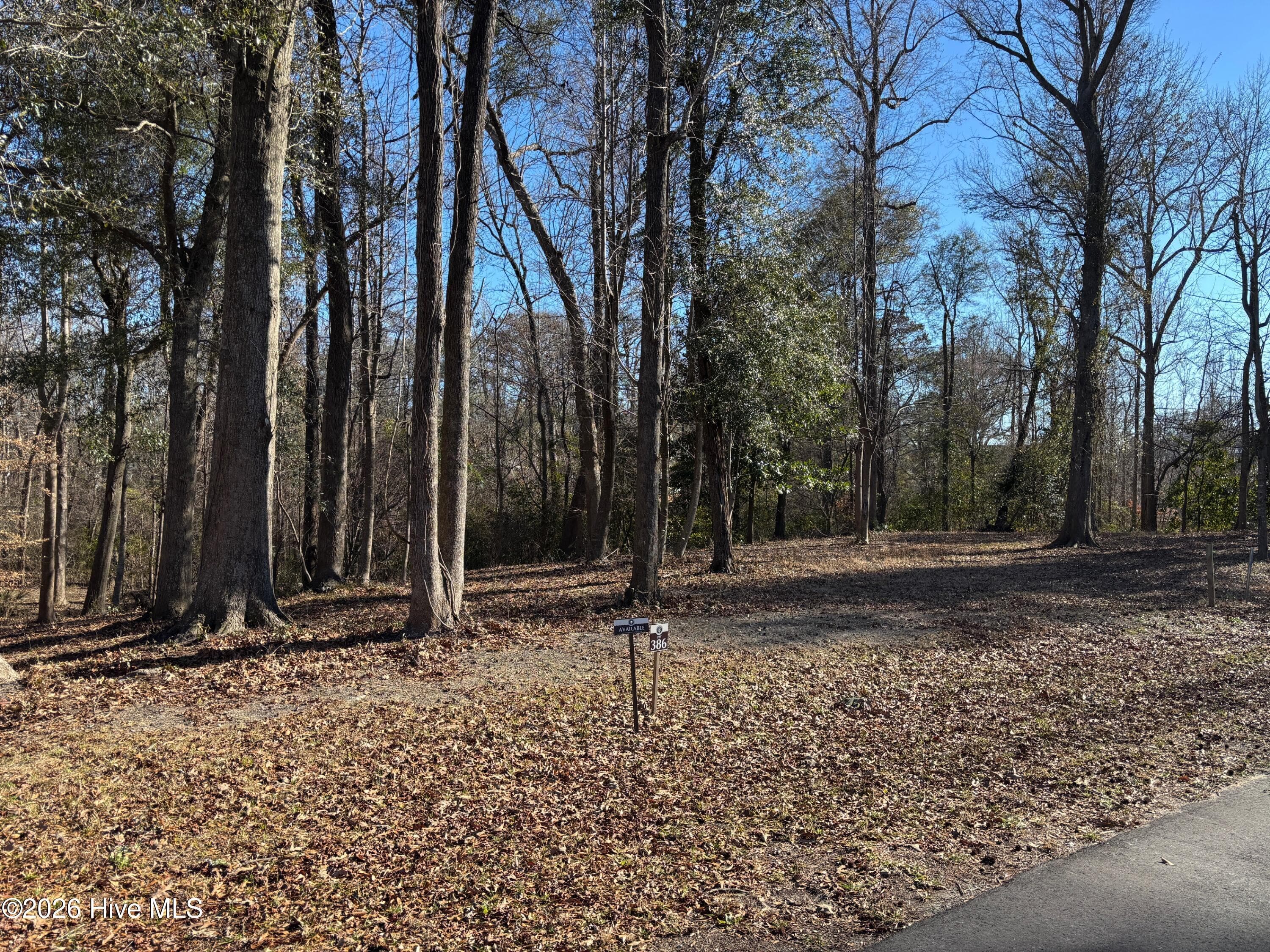 Front of 124 386 River Bluffs Drive, Castle Hayne, NC 28429