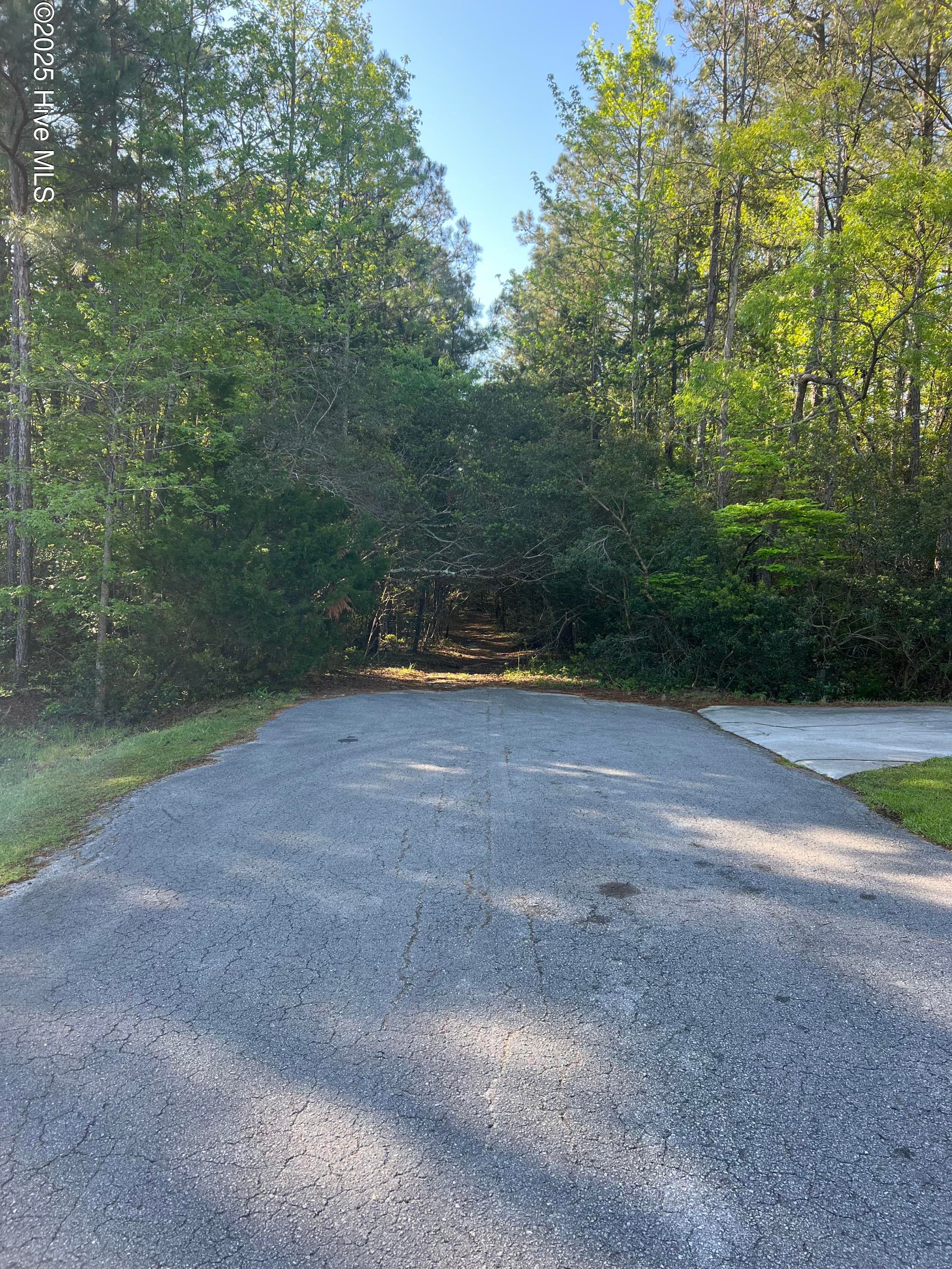 Front of Tbd Wood Creek Drive, Hubert, NC 28539