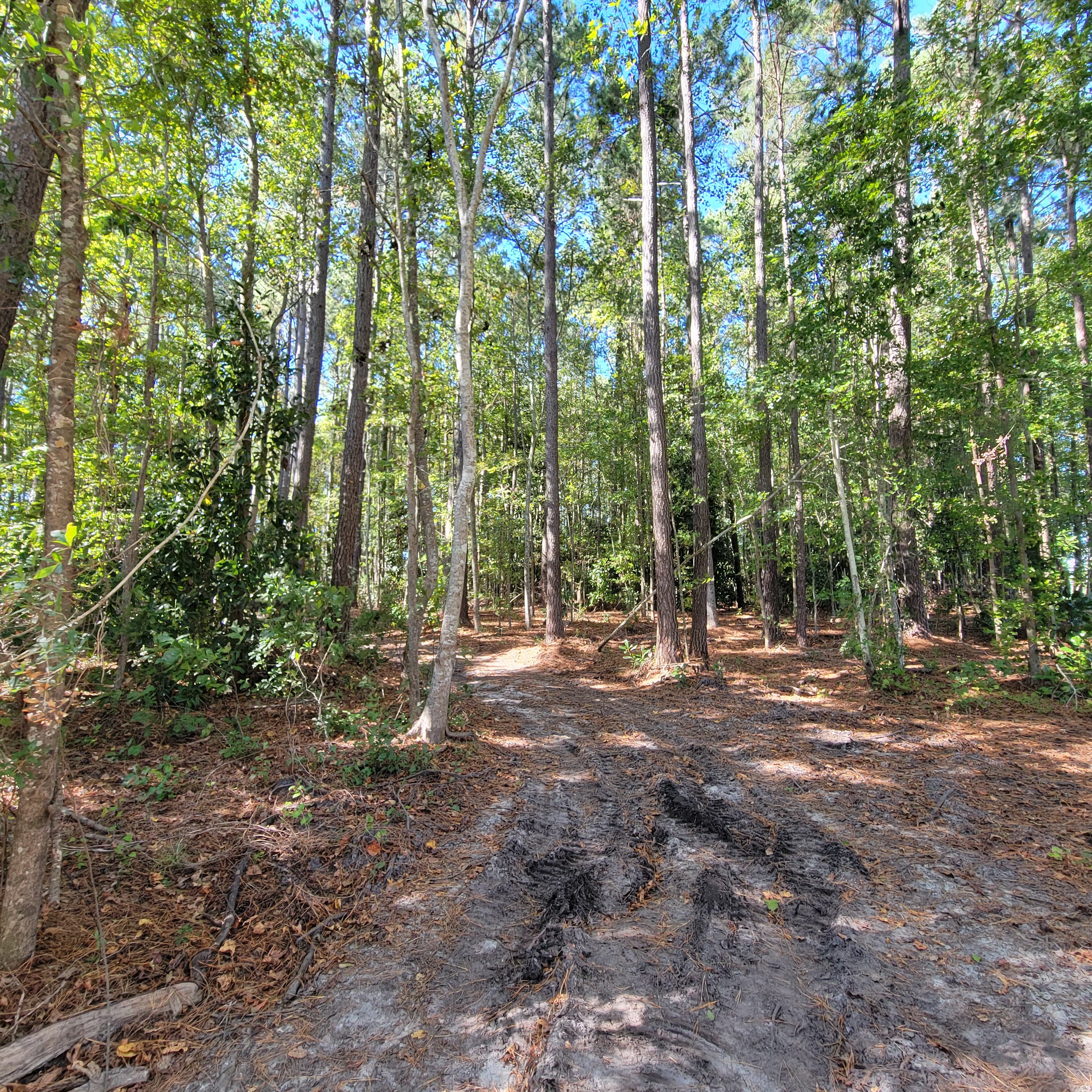 Conservation Easements in North Carolina: What Land Owners Should Know