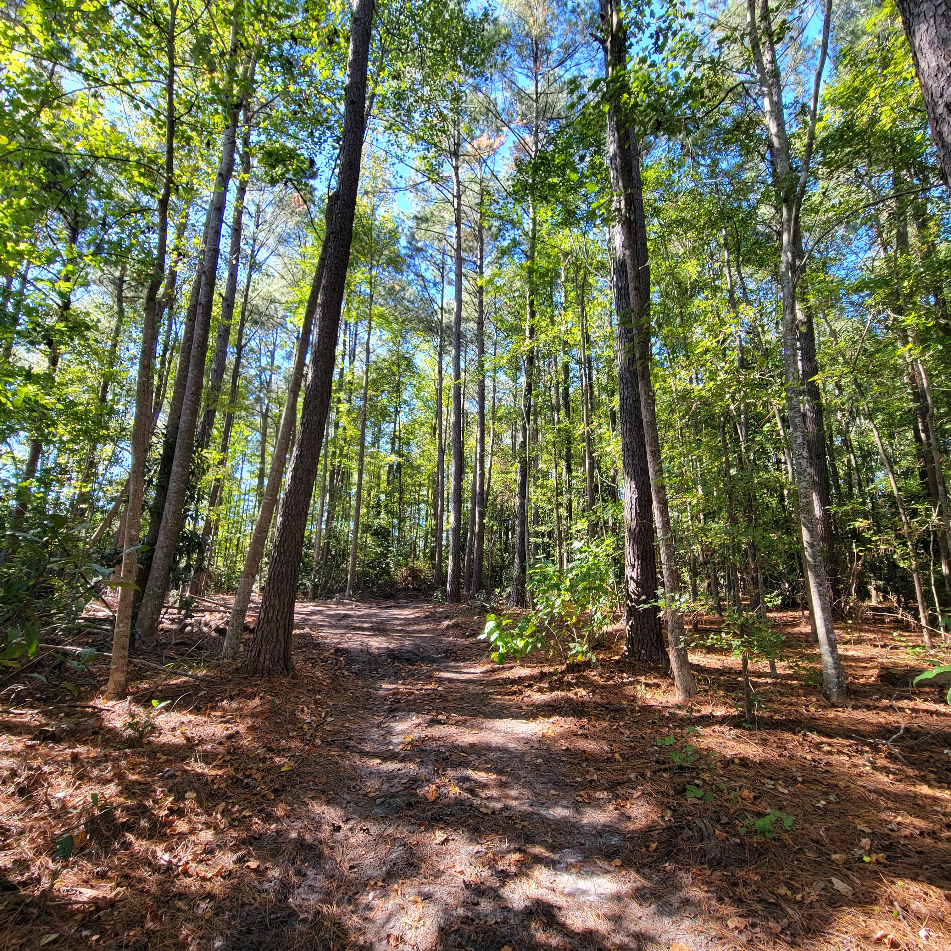 What Is NRCS and How Can It Help North Carolina Landowners?