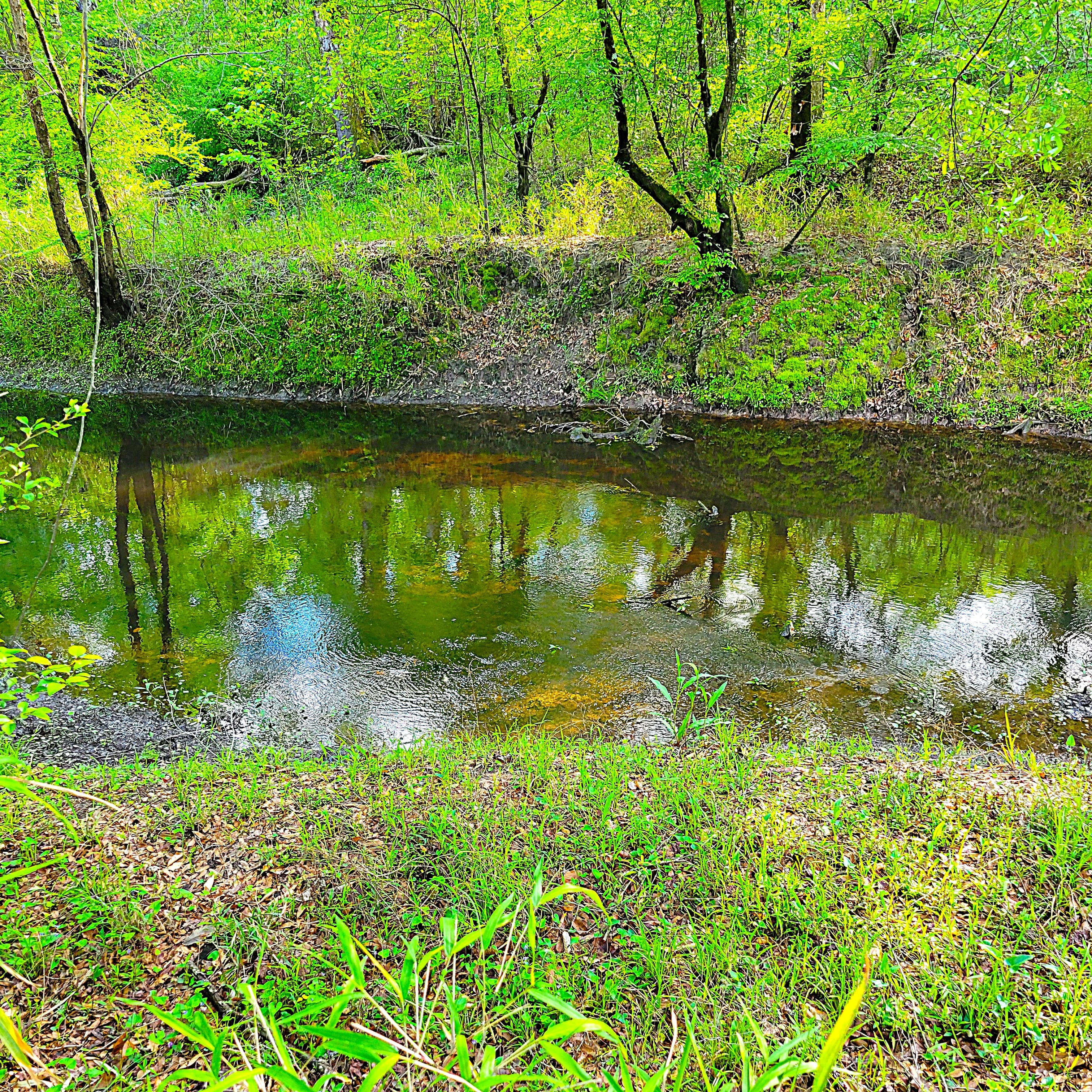 Buying a Home With Land in Jacksonville NC: What Buyers Need to Know