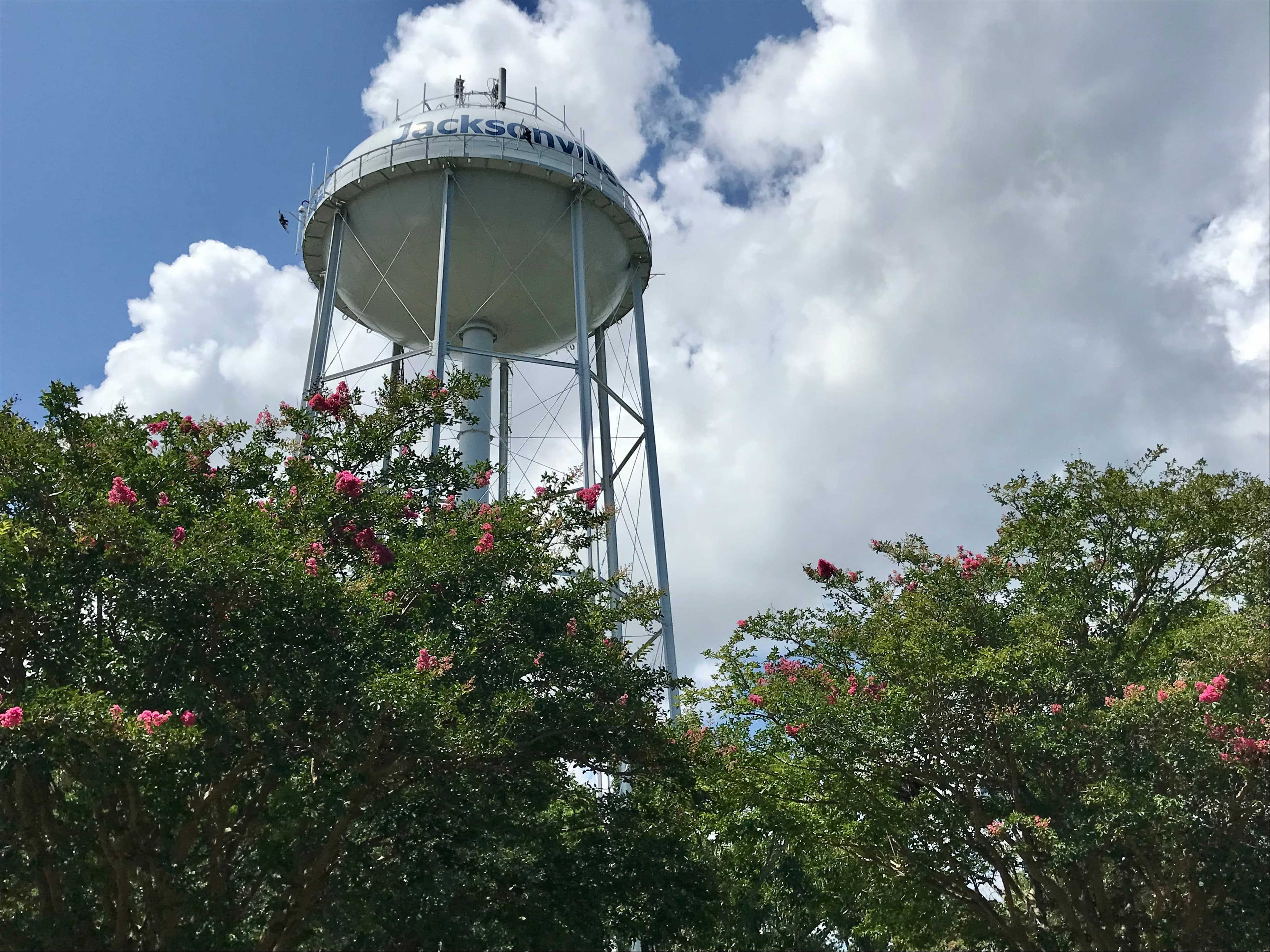 Where Should You Buy in Jacksonville NC? A Buyer’s Guide to Choosing the Right Area