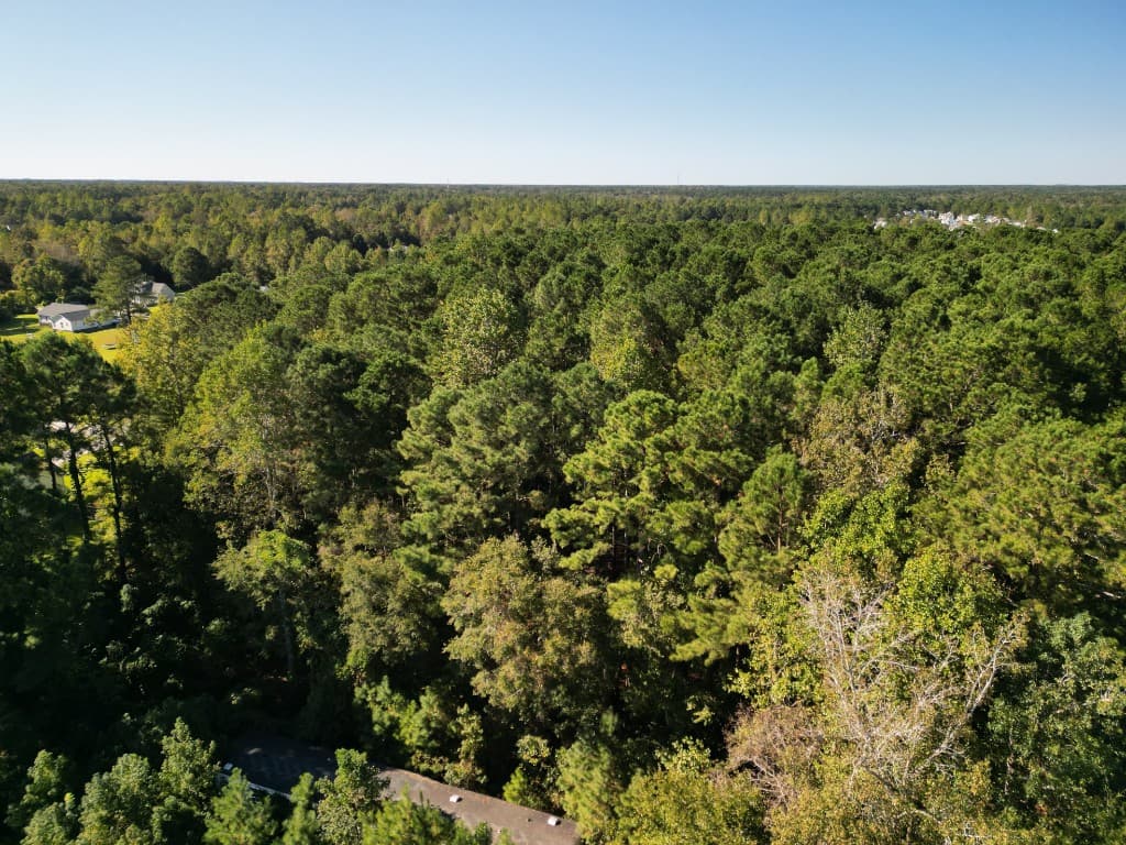 Aerial view of forest meeting open field—typical edge-of-development land in Eastern North Carolina