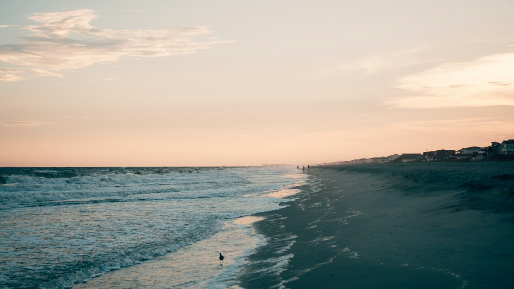 Brunswick County Schools, Recreation, and Community Life