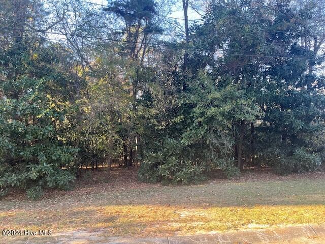 Front of 408 Lot 4, Block F, Lake Pines Drive, La Grange, NC 28551