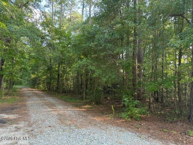 Front of 0 4 E Wilmington Street, Burgaw, NC 28425