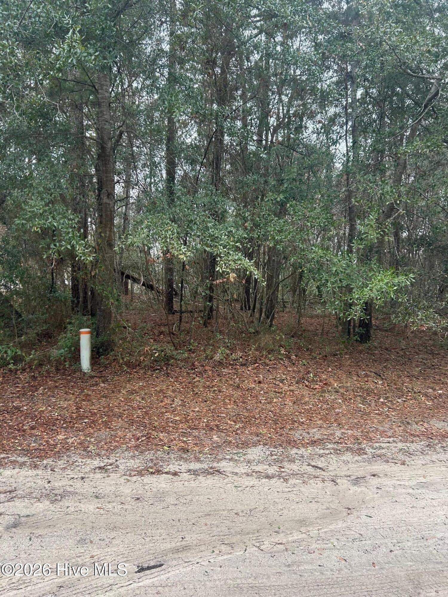Exterior of 103 38 Dogwood Lane, Sneads Ferry, NC 28460