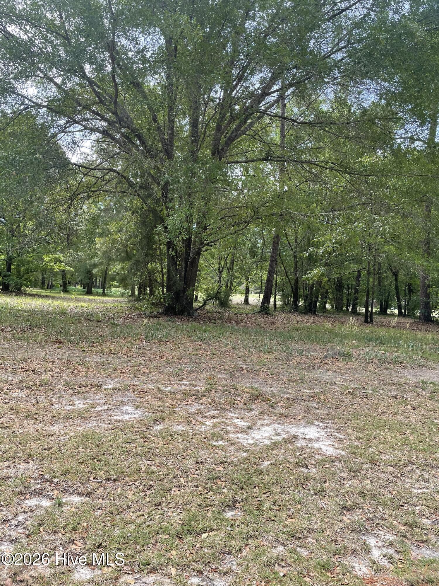 Front of 210 Cedar Point Drive, Wallace, NC 28466