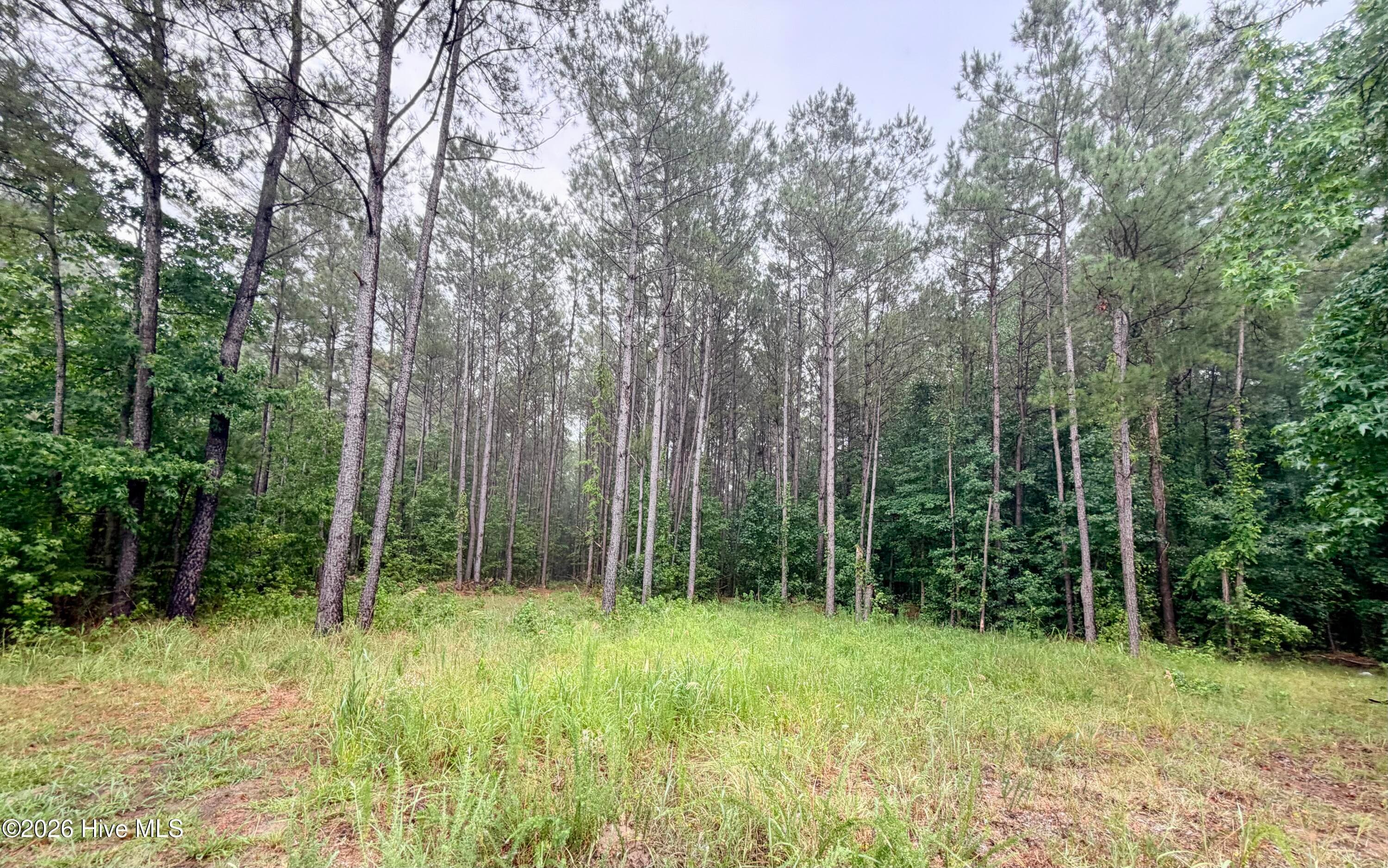 Front of Tract F Us 421 Highway N, Currie, NC 28435